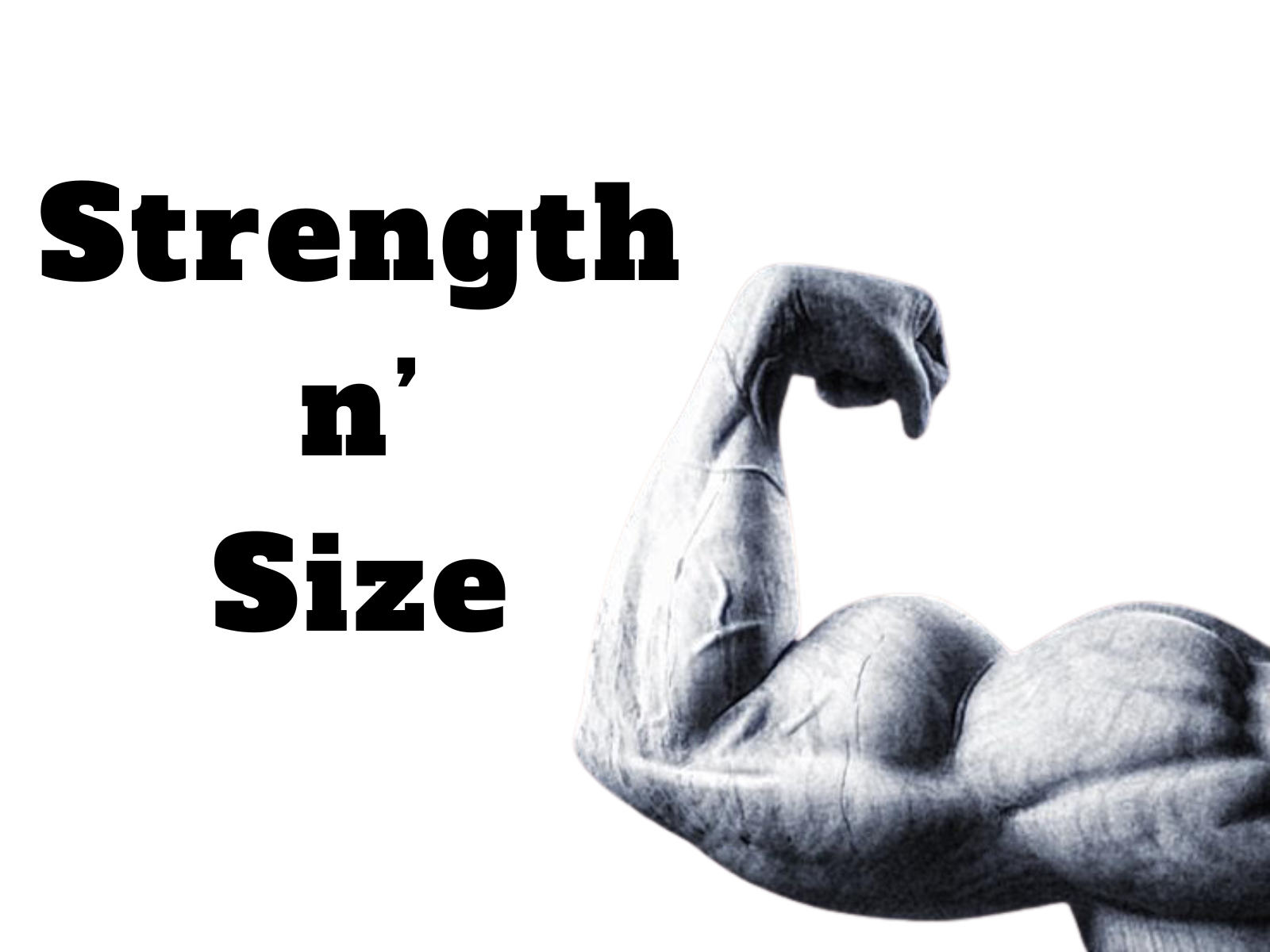 Strength n' Size